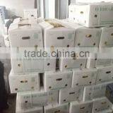 PVC BOXES FRESH GINGER thumbnail-5