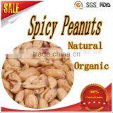 Wholesale Crispy Hot and Spicy Peanuts thumbnail-1