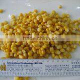 Healthy Sweet Corn Kernel Halal Food