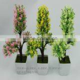 Hot Gift Bonsai Gift Decoration