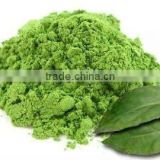 Natural Gymnemic Sylvestre Leaf Powder