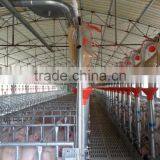 Single Stall for Cow Design thumbnail-3