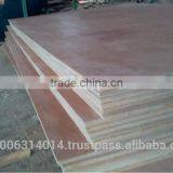 KEGO Vietnam Commercial Plywood, Building Plywood, 1220x2440mm(from Plywood Manufacturer) thumbnail-1