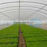 Wind Tunnel Growing Warm House thumbnail-1