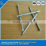 Common Nails Polished Factory Price thumbnail-1