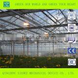 Multi-Span Commercial Agricultural Greenhouse Sales thumbnail-4