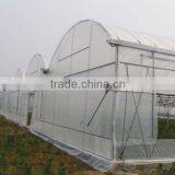 Plastic Film Covered Greenhouse For Mushroom&Roses thumbnail-1