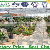 Backyard Glass Greenhouse Sale thumbnail-5