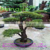 SJLJ0688 Shengjie Hot Sale Decorative Led Tree/ Artificial Pine Tree With Lights thumbnail-2