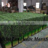 SAS016082 Plastic Material and Ornaments Type Artificial boxwood Panel