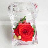 Cheap Artificial Single Preserved Rose Flower Wedding Decoration thumbnail-5
