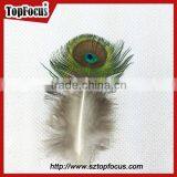 Hot Sale Designer Indian Cheap Natural Artificial Peacock Feathers thumbnail-4