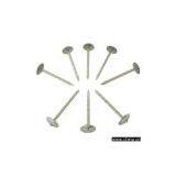 Sell Nails thumbnail-1