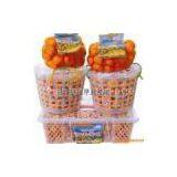 Nanfeng Michi thumbnail-1