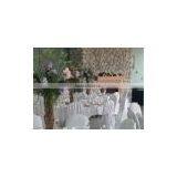 Polyester Chair Cover,banquet Chair Cover