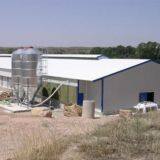 Steel Structure Chicken House Design Chicken House for Sale Cage Layer Chicken House China thumbnail-4