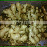 2014 Fresh Fruit Fuji Apple Wholesale for Dubai (In the Preferential...) thumbnail-3