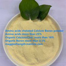 Hydrolysis Compound Amino Acids Chelated Calcium Boron With Organic Nitrogen Completely Water Soluble Fertilizer thumbnail-1