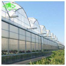 China Top Manufactory 200 Micron Greenhouse Film thumbnail-3
