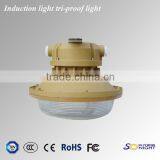 2015 new products 40w induction tri-proof lamp