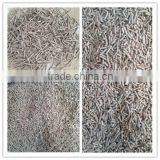 300-800 Kgs per Hour Stainless Steel Mould Bird Feed Pellet Mill thumbnail-6