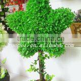 High Emultion Green Decorative Artificial Star Shaped Potted Bosai