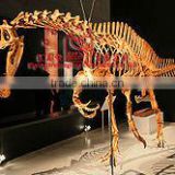 Exhibition Dinosaur Skeleton Replica Of Irritator