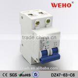 Mini Type and 2 Poles Number Miniature Circuit Breaker