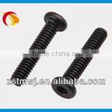Plating Black Zinc Hex Slot Round Head Machine Screw