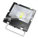 High Power Cob Outdoor Led Spot Light 100w for Landscaping Wall