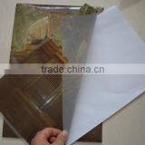 Custom Made A4 Size L Shape pp Folder, Plastic File Folder