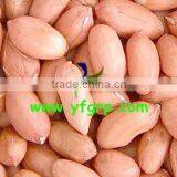 Large Type Peanut Kernels 20/24 24/28 28/32 thumbnail-1