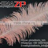 ZPDECOR Trade Assurance Leading Supplier Wholesale Size From 50-55cm Cheap Dyed Champagne Ostrich Feather thumbnail-5