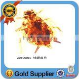 Colleage Study Microscope Parasitology Prepared Slides Amoeba W.m