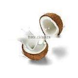 Coconut Milk Produced in Vietnam Fat 22% thumbnail-1