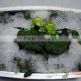 Green Broccoli From China Frozen Broccoli for Sale thumbnail-4