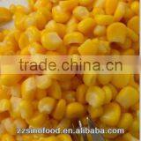 Canned Sweet Corn 400g High Quality,Hot Selling
