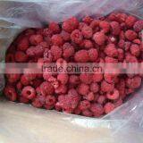 IQF Raspberry thumbnail-4