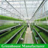 Customized High Quality Polycarbonate Sheet Agricultural Greenhouses thumbnail-5
