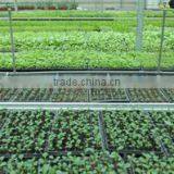Guangzhou Lead You Seed Co., Ltd. company overview - view 1 thumbnail