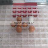 Dezhou Mujia Chicken Incubator Egg Tray