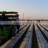 Hot Sale Onion Seeder thumbnail-5