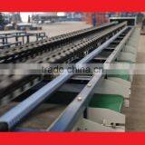 2 Lane Electronic Grading Citrus Production Line thumbnail-1