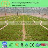 Vegetable Plastic Film Cover Tropical Greenhouses thumbnail-3