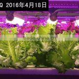 20W Led Grow Light Tube T8 With Bridgelux Full Spectrum Chip thumbnail-1