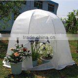 Mini Green House thumbnail-1