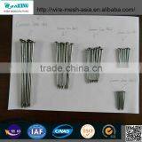 Flat Head Stainless Steel Commom Nail Screw Nails thumbnail-3