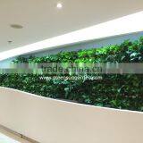 2017 Hot Sale Real Plants Living Wall Plastic Vertical Garden Green Wall thumbnail-6