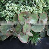 Windows Show Colorfull Ornament Grass Wall (180X80cm) Artificial Supermarket Grass Wall thumbnail-1