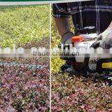 25CC/ 36CC/52CC/double Edged Hedge Trimmer, 22.5cc, 1 HP /CE/GS thumbnail-1